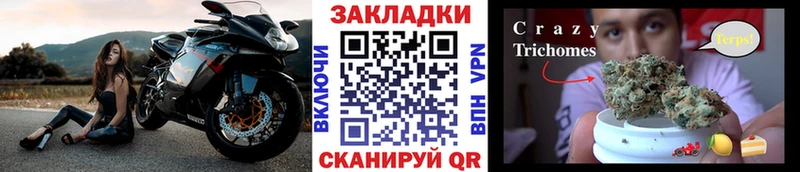 А ПВП Пересвет