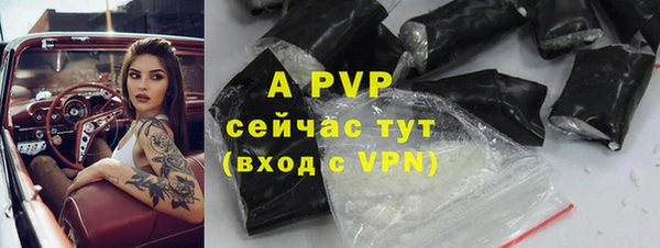 МДПВ Вяземский