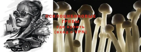 молекула духа Волоколамск
