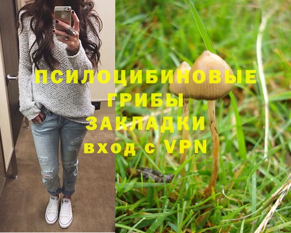 первитин Сясьстрой