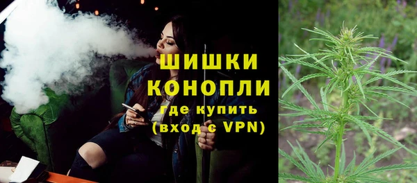 сатива Волосово