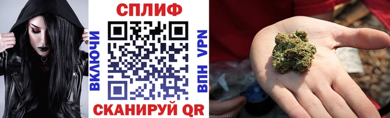 Шишки марихуана гибрид Пересвет